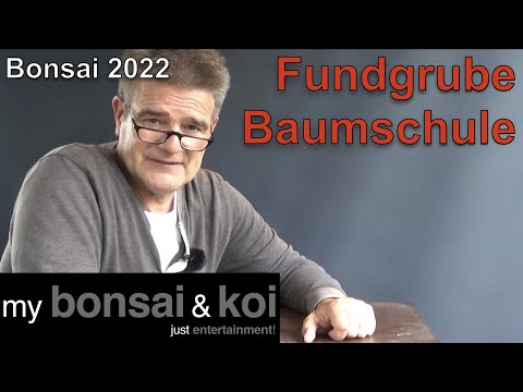 Bonsai 2022-50 - Fundgrube Baumschule