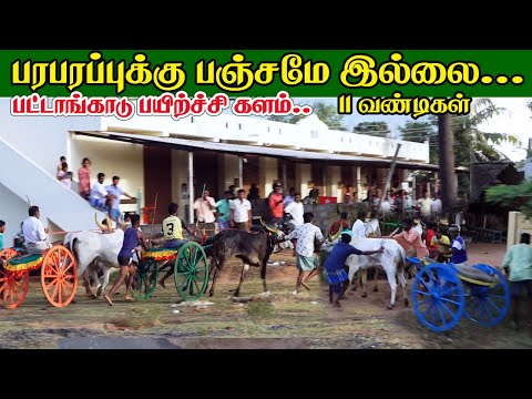 பட்டங்காடு சிலம்பரசன் அவர்களால் நடத்தப்படும் பந்தய பயிற்சி களம் 07/08/2121 pattankadu silamparasan
