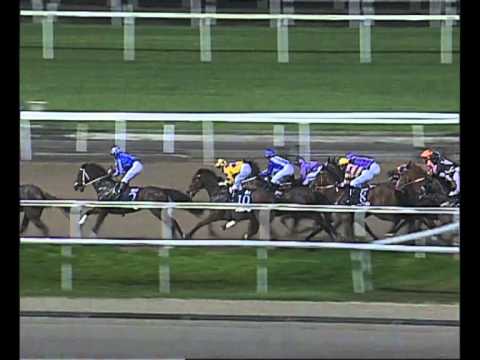 Proinn Construct Stakes 2010 (Escamonda)