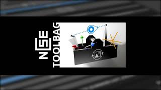 NCSE Tolbag