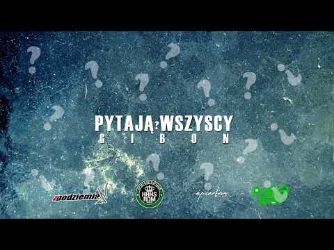 Gibon – Pytają Wszyscy #STZM (prod. VintageManBeats)