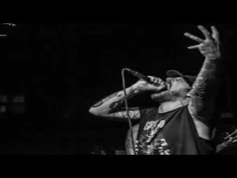 Splurgeboys - Celebration​