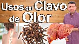 Para Qué Sirve El Clavo De Olor - Usos Y Beneficios Para Tu Salud Y Belleza