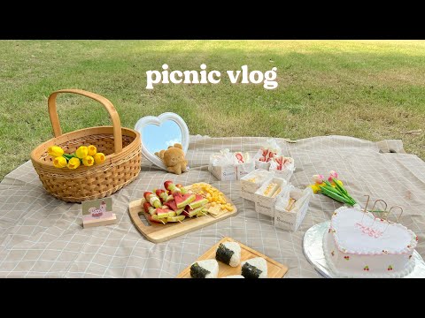 picnic vlog 🍙˚₊🧺 making cute picnic recipes, celebrating with friends, last days of summer ♡