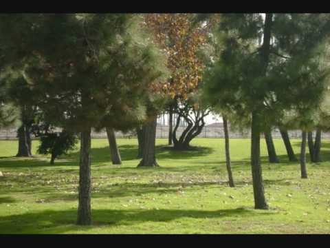 download lagu mp3 mp4 Todo Lo Tengo, download mp3 Todo Lo Tengo free download, download mp3 Todo Lo Tengo