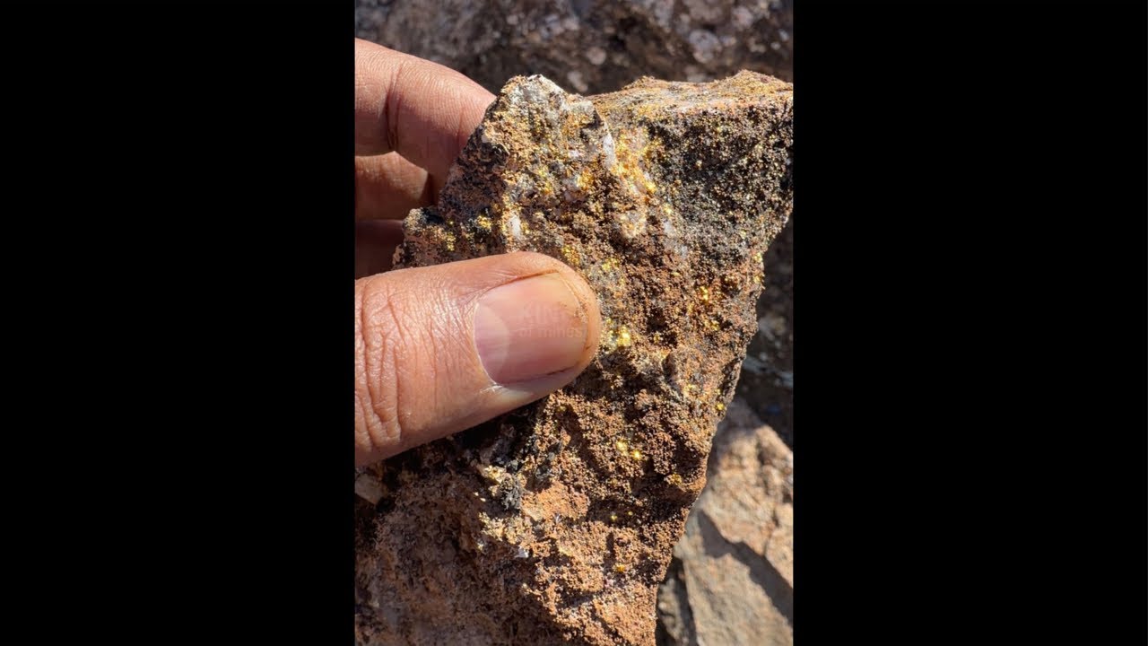 احدث طرق الاستخلاص