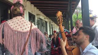 MACHUKAMBA-Estoy suspirando por ti y tú no me quieres (sevillana)