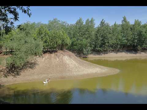 Eladó tanya, Ópusztaszer 2 szoba 100 m² 59 M Ft
