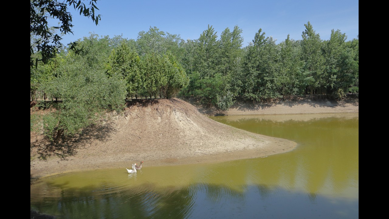 Eladó tanya, Ópusztaszer 2 szoba 100 m² 59 M Ft