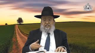 דף היומי בחצי שעה - ברכות דף י"א