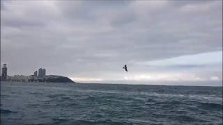 In The Land Of Dreams - Kesang Marstrand