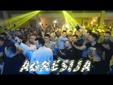 A G R E S I J A   - Borko Radivojevic x Tigrovi - Hotel Sumarice - Kragujevac 2019
