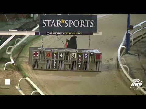 Signet Morgan - BGBF PUPPY CUP HEAT 2