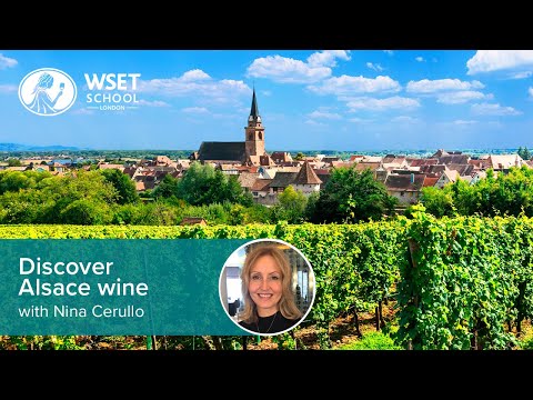 Discover Alsace wine with Nina Cerullo