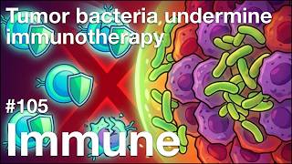 Immune 105: Tumor bacteria undermine immunotherapy