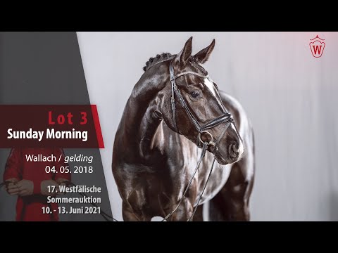 Westfälische Sommer-Auktion Lot 3 Sunday Morning Wallach v.  Sir Heinrich - Stoiber SN