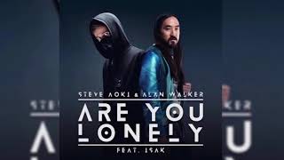 Steve Aoki &amp; Alan Walker - Are You Lonely (feat. ISÁK)