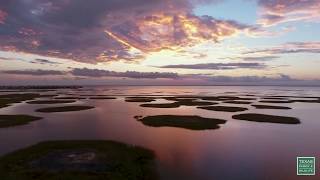 Galveston Bay Marsh - Postcard From Texas