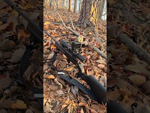 Howa M1100 22lr, Full Review!