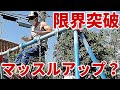 【筋トレ】マッスルアップの回数アップ鍛練法!!