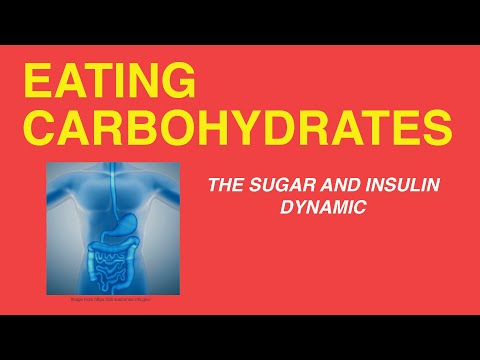 Eating Carbohydrates The Sugar and Insulin Dynamic