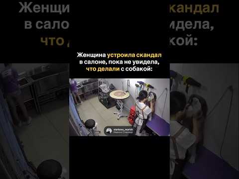 Женщина устроила скандал в салоне, пока не увидела, что делали с собакой: