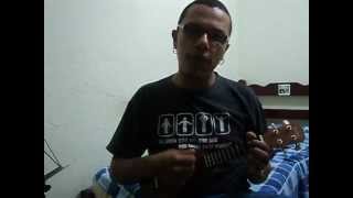 Engenheiros do Hawaii - Pose (Ukulele Cover)
