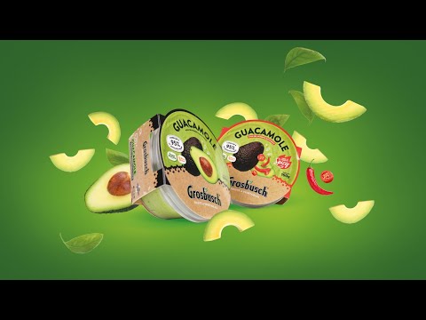 Seite 2 – GUACAMOLE GROSBUSCH  (Video)