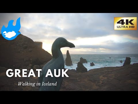 Iceland Walking Tour - Reykjanesviti [4K]