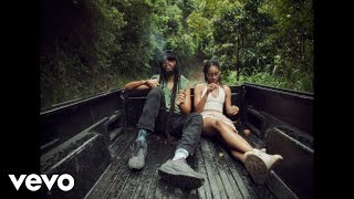 Protoje, Zion I Kings - Weed &amp; Tings (Visualizer)