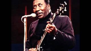 Muddy Waters - Mojo Sampler