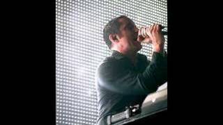 nine inch nails closer richard cheese remix cover