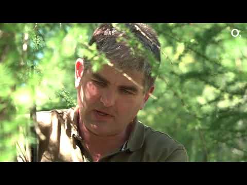 Vlado Voštinár objavuje divoké zvieratá na Liptove