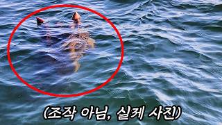 2022년 촬영된 캐나다의 호수 괴물, 그 정체는?