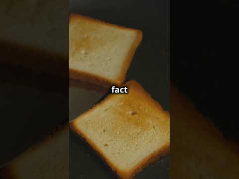 Ultimate Nutritious Sandwich Guide!!!