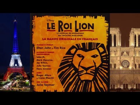 15. Nuit Sans Fin - LE ROI LION