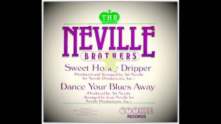 Ivan Neville - Dance Your Blues Away
