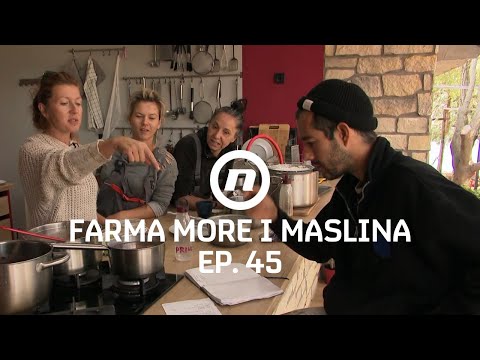 Olimp komentira Katarinu - Epizoda 45 | Farma More i Maslina