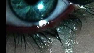 ya vez -Huracanes Del Norte