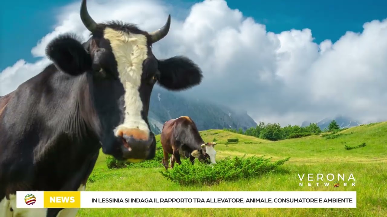 Descrizione dell'immagine