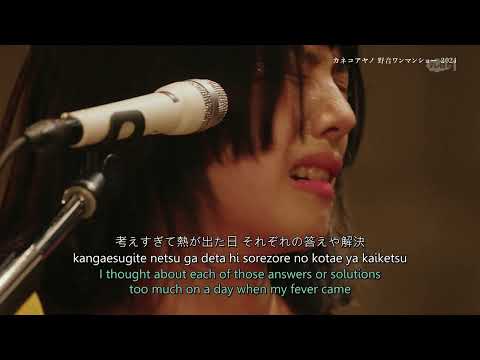 Ayano Kaneko – タオルケットは穏やかな (A Towel Blanket Is Peaceful) LIVE 2024 [ENG SUB]