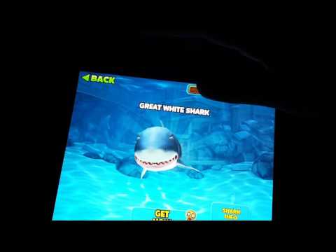 Advice to boost your shark I'm hungry shark