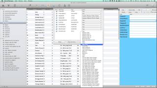 Mysql Manager for Mac OS X 10.9 Mavericks