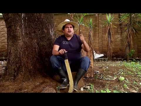 Agapito Diaz - El niño y la boda | JR INN