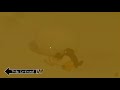 Pingu But Its To Be Continued