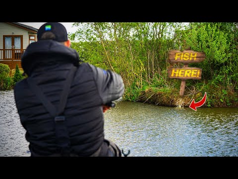 FEEDER TACTICS For Small Commercials! | Lindholme Lakes