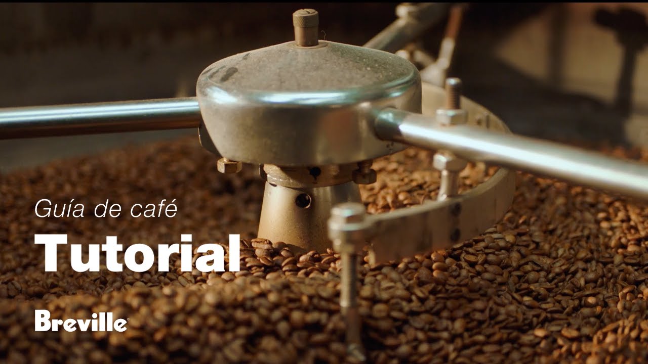 Elegir los granos de café adecuados