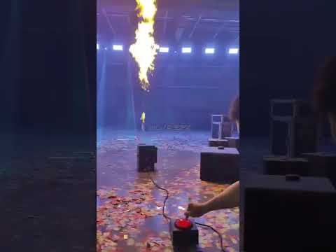 Lighting Designer Service