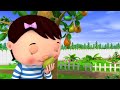 I Had A Nut Tree Song By Little Baby Bum