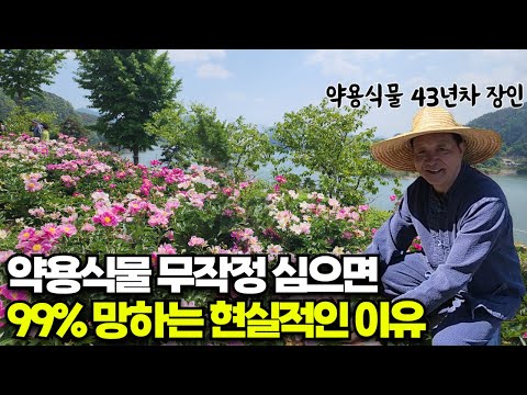 (귀농스쿨) 약용식물 실패하지 않는 접근 방법